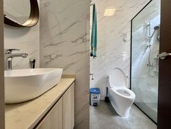 Princess Of Wales Park (D10), Semi-Detached #449232301